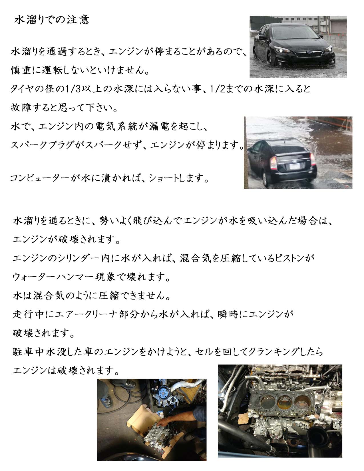 mizutamari